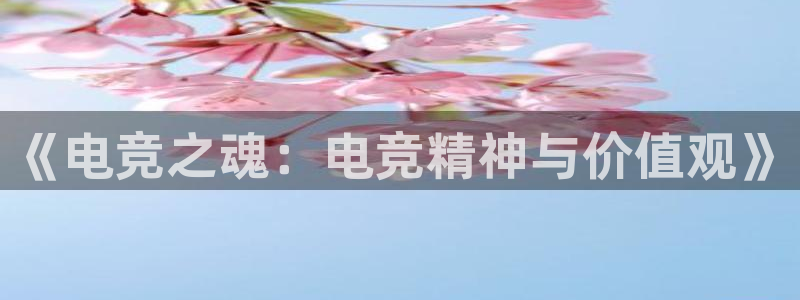 雷火电竞网页登录口下载：《电竞之魂：电竞精神与价值观》