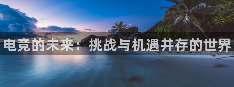雷火电竞体育：电竞的未来：挑战与机遇并存的世界
